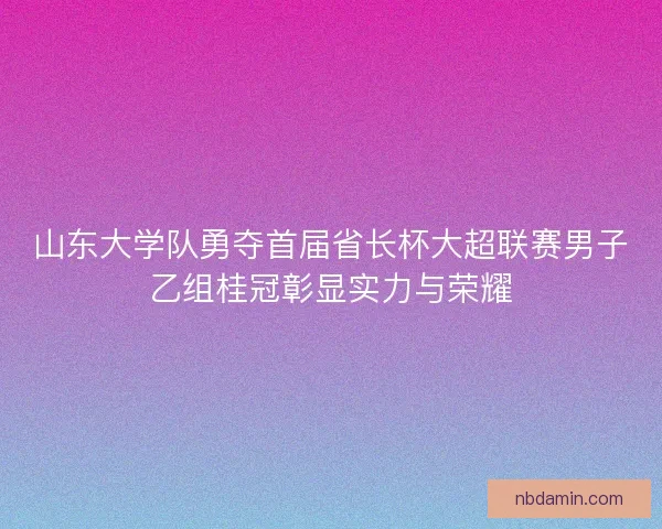 山东大学队勇夺首届省长杯大超联赛男子乙组桂冠彰显实力与荣耀