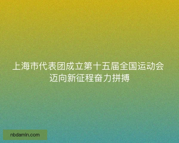 上海市代表团成立第十五届全国运动会 迈向新征程奋力拼搏